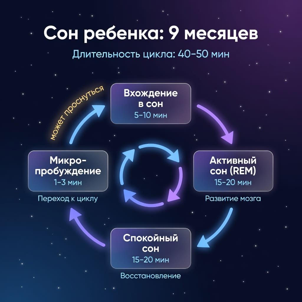 Особенности развития детей от 8 до 9 месяцев